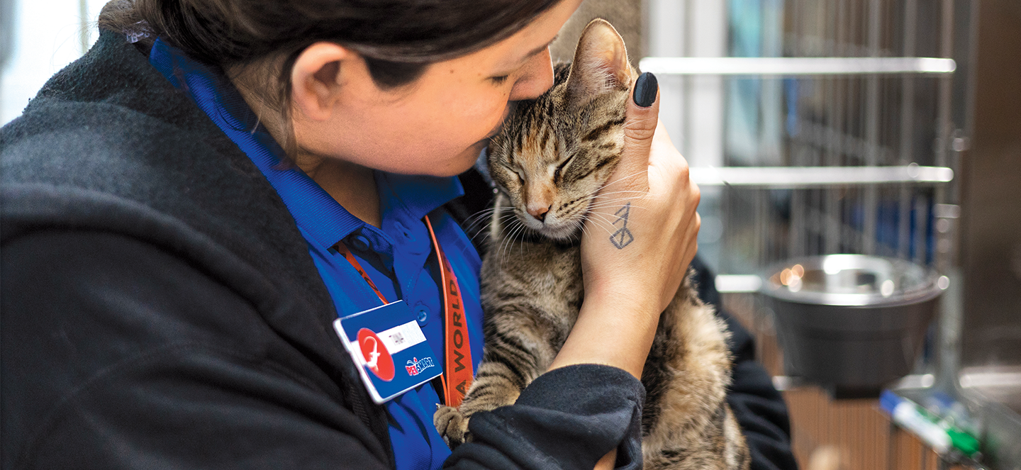 PetSmart Associate and cat snuggling