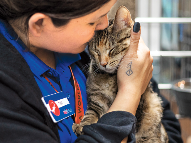 PetSmart Associate and cat snuggling