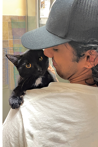 Kitten and potential pet parent meet at an adoption event