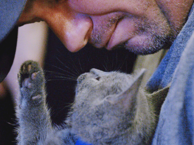 man in baseball cap and gray cat