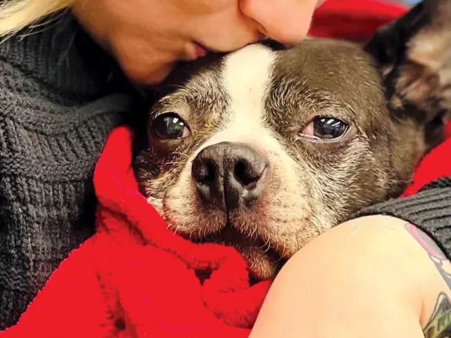 a woman kisses the top of a frenchie's head